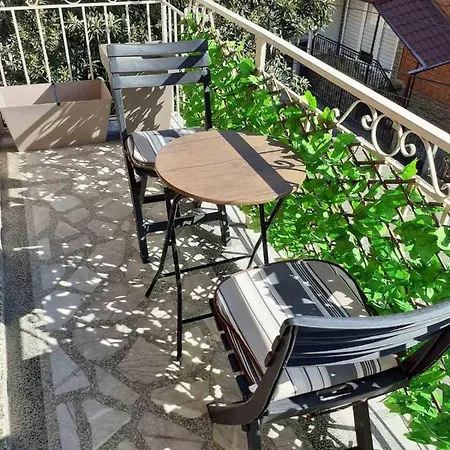 Guest house Domina 3*